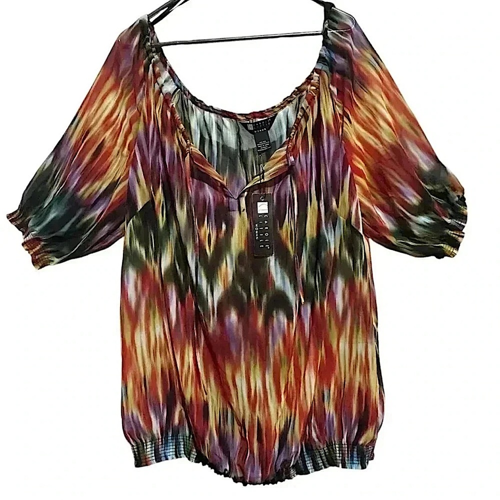 Carole Little Sheer Blouse in Watercolor Women's 3XL